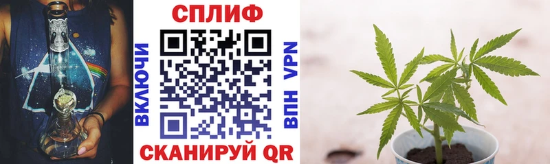 Купить закладку Канабис  Меф  A-PVP  Гашиш  Кокаин  Шуя