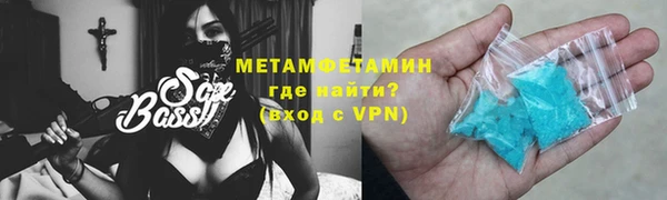 гидра Каменка