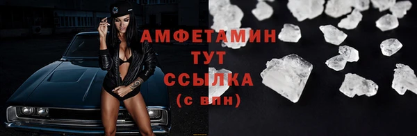 гидра Каменка