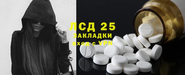 гидра Каменка