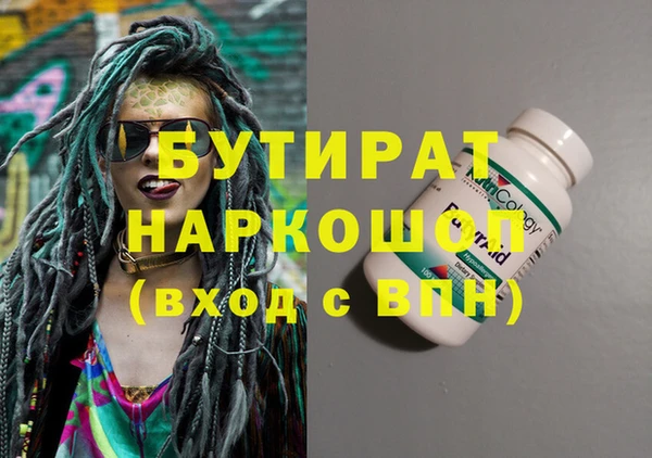 гидра Каменка