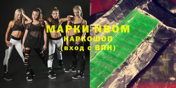 гидра Каменка