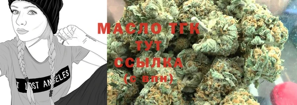 гидра Каменка