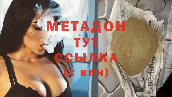 гидра Каменка