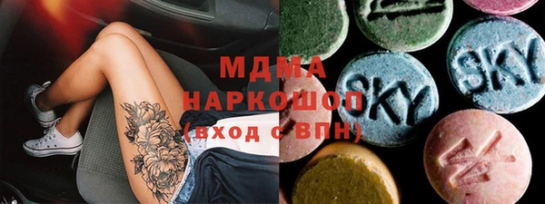 гидра Каменка