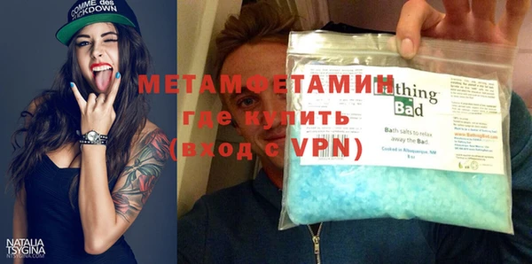 гидра Каменка