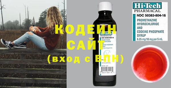гидра Каменка