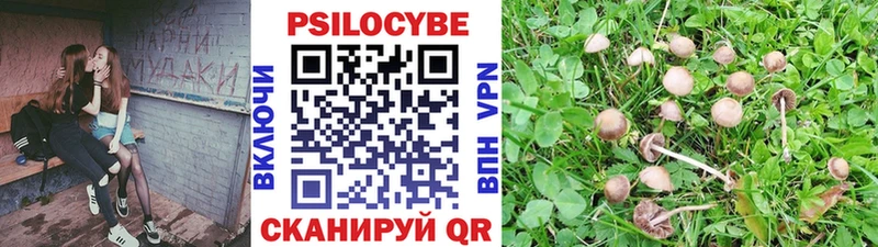 Купить  Шуя  Галлюциногенные грибы мухоморы 